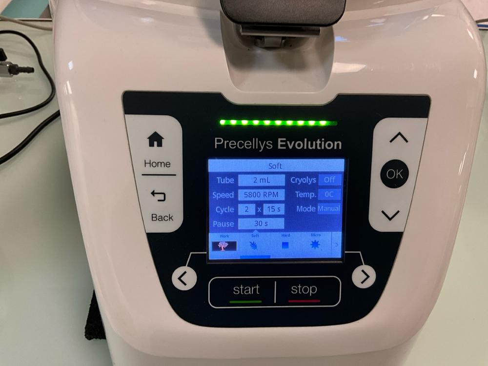 Diapositiva 7